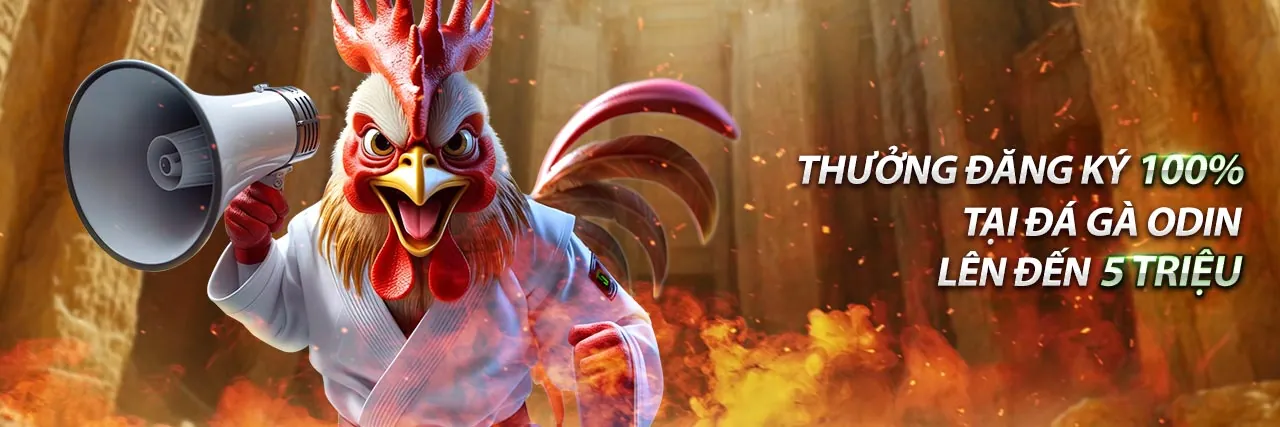 Tổng quan tài nguyên Kubet777