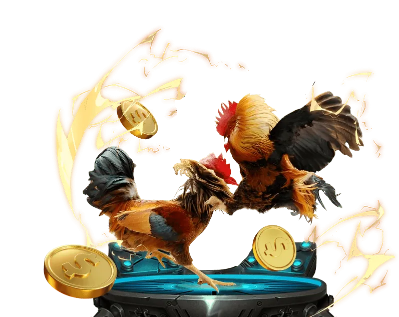 Chiến lược cá cược Kubet777